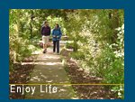 Transcendental Meditation Christchurch New Zealand